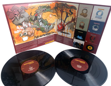 Load image into Gallery viewer, Visionaries Pangaea 2LP (1st Press)